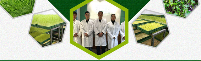 菜立方芽苗菜nba直播jrs无插件_jrs直播手机版_西甲直播jrs电话