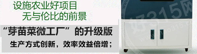 菜立方芽苗菜是不是真的