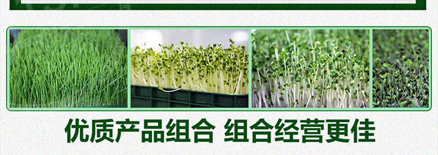 菜立方芽苗菜好不好